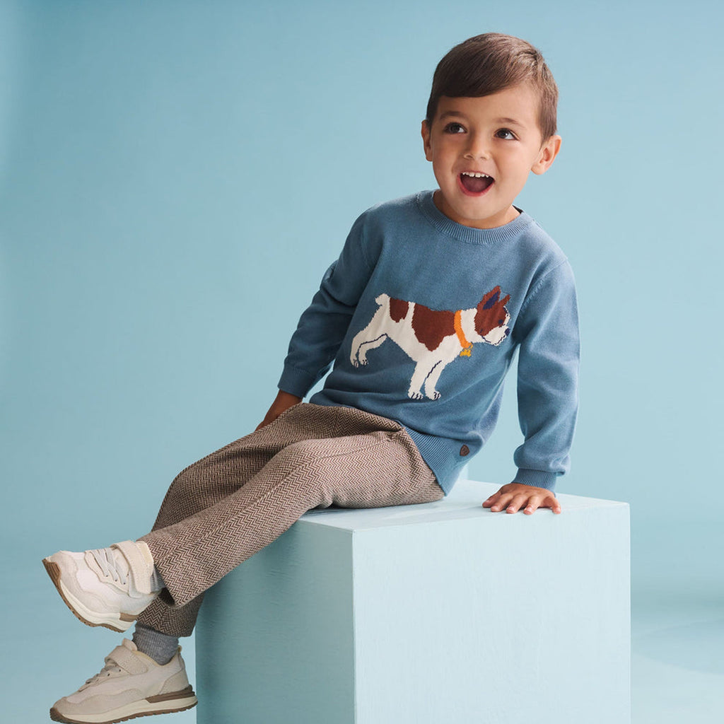 Baby & Toddler Boys French Bulldogs Crew Neck Sweater