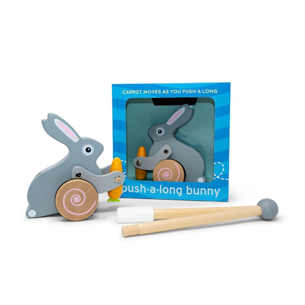 Easter Bunny Roll-Along Push Toy