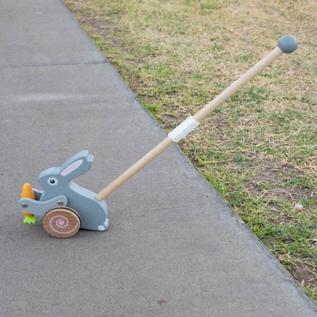 Easter Bunny Roll-Along Push Toy
