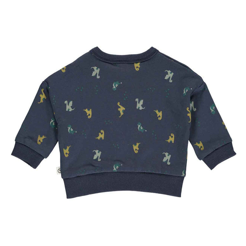 Sweatshirt In Dragons