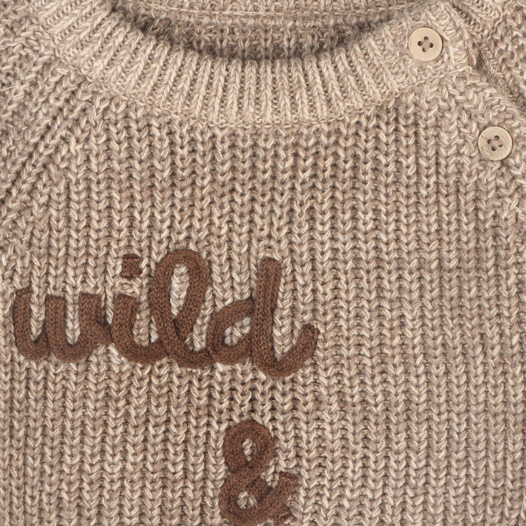 Wild & Free Embroidered Chunky Knit Baby Sweater