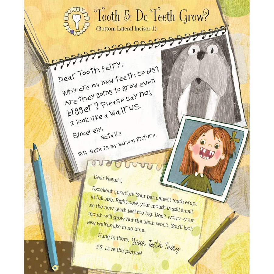 Letters from My Tooth Fairy-BOOKS-Sleeping Bear Press-Joannas Cuties