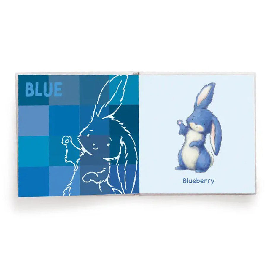 My Book of Colors - Board Book-BOOKS-Bunnies By The Bay-Joannas Cuties