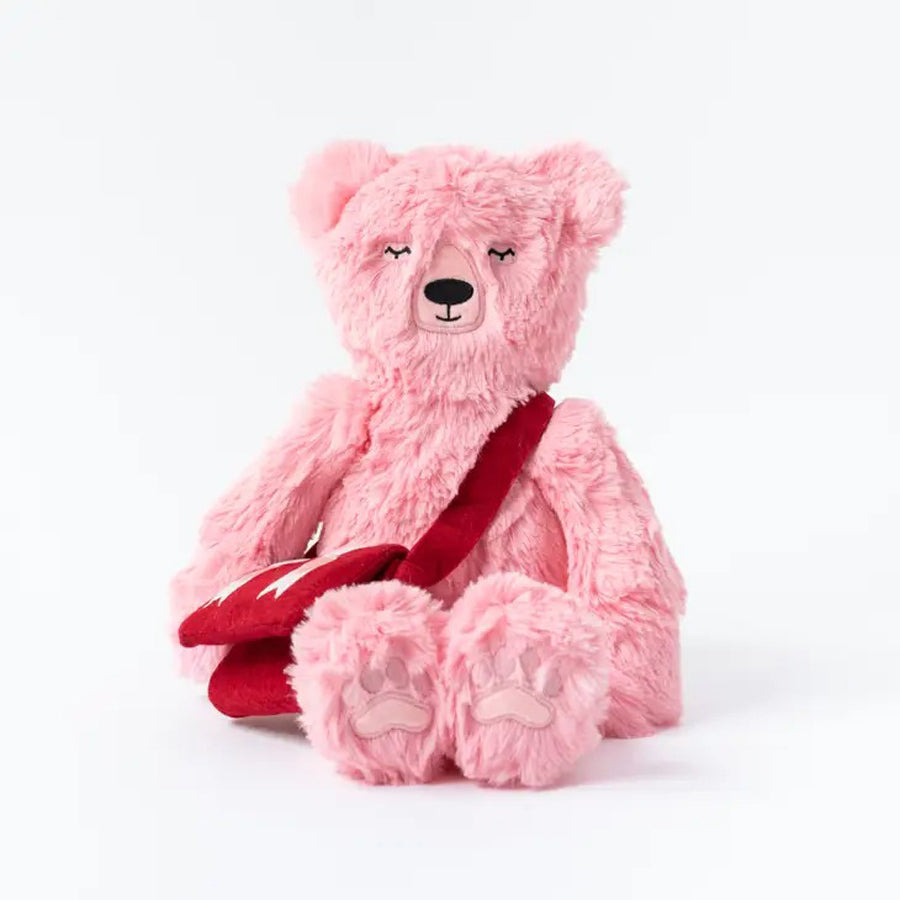 Pink Teddy Vetements Teddy Bear Backpack Peony Honey Bear Kin