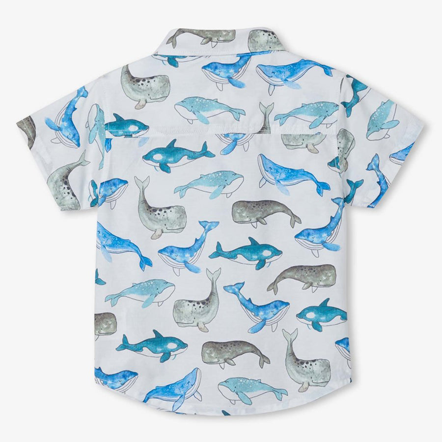 Whales Baby Button Down Shirt-Hatley-Joanna's Cuties